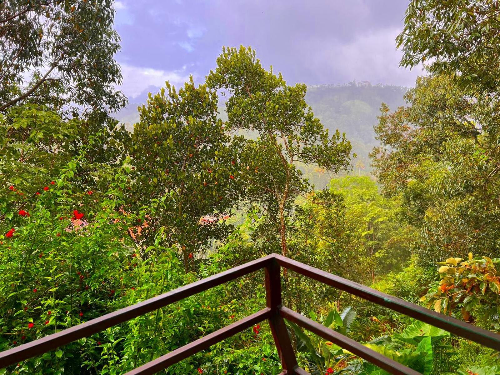 Misty Lake Resorts, Munnar Extérieur photo