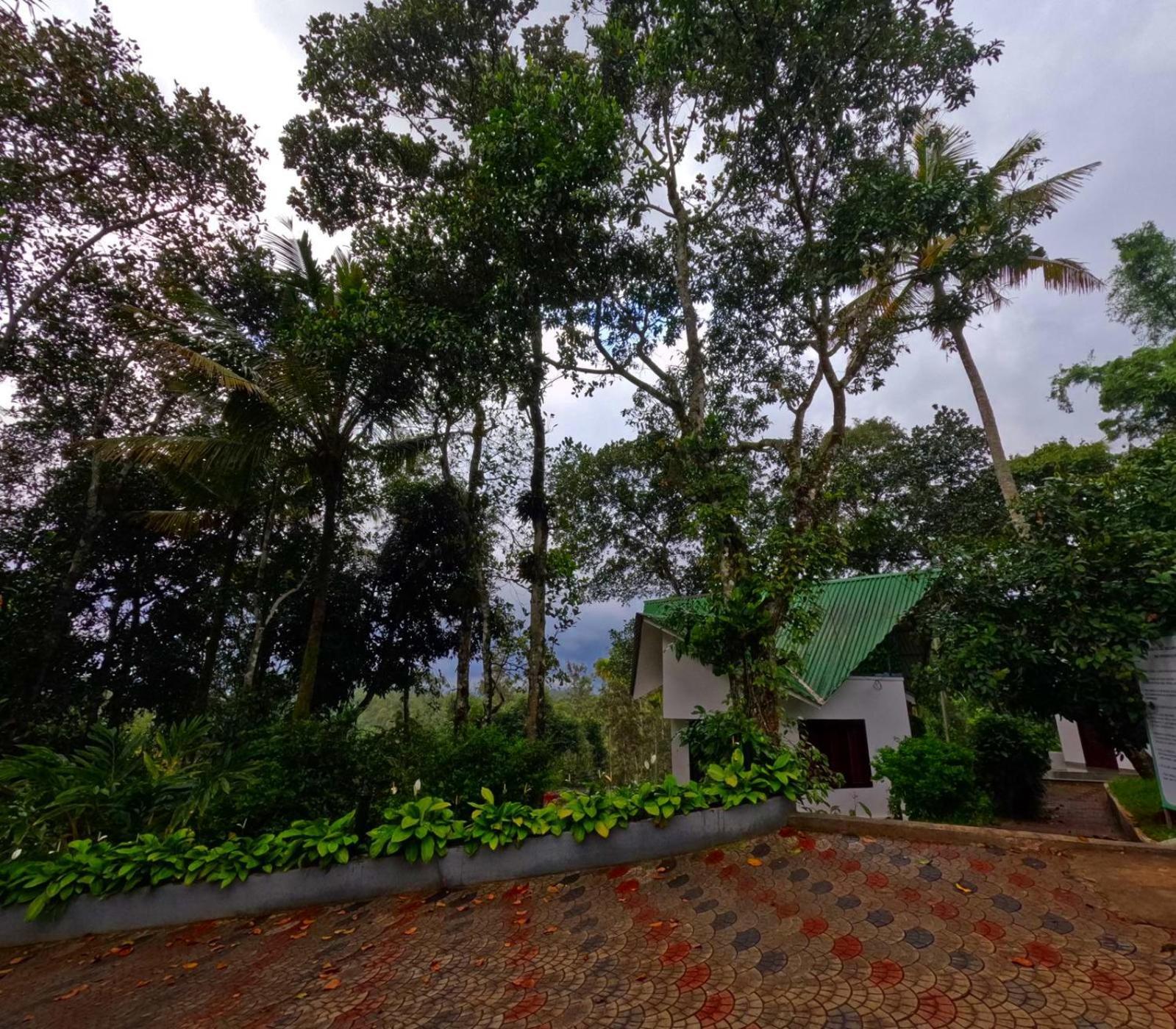 Misty Lake Resorts, Munnar Extérieur photo