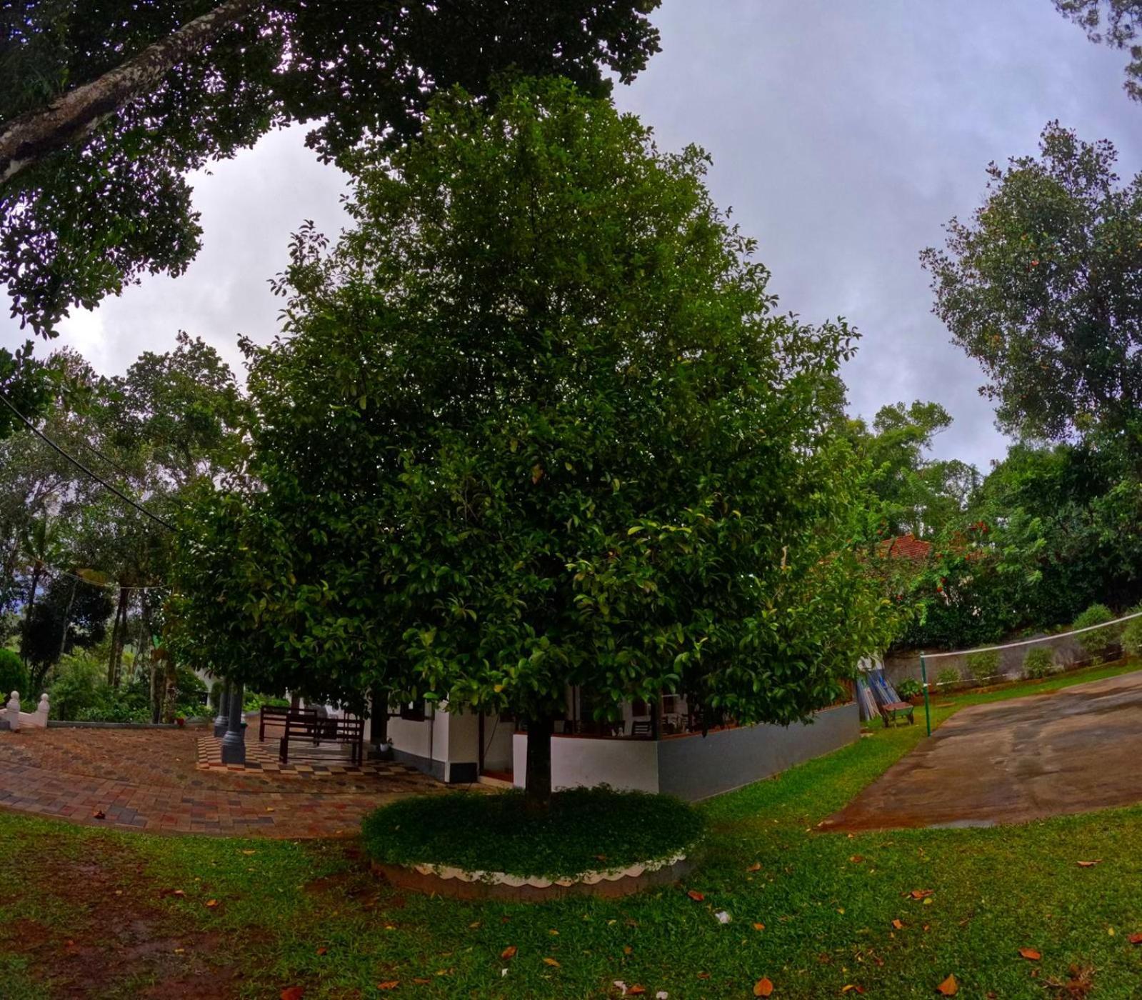 Misty Lake Resorts, Munnar Extérieur photo