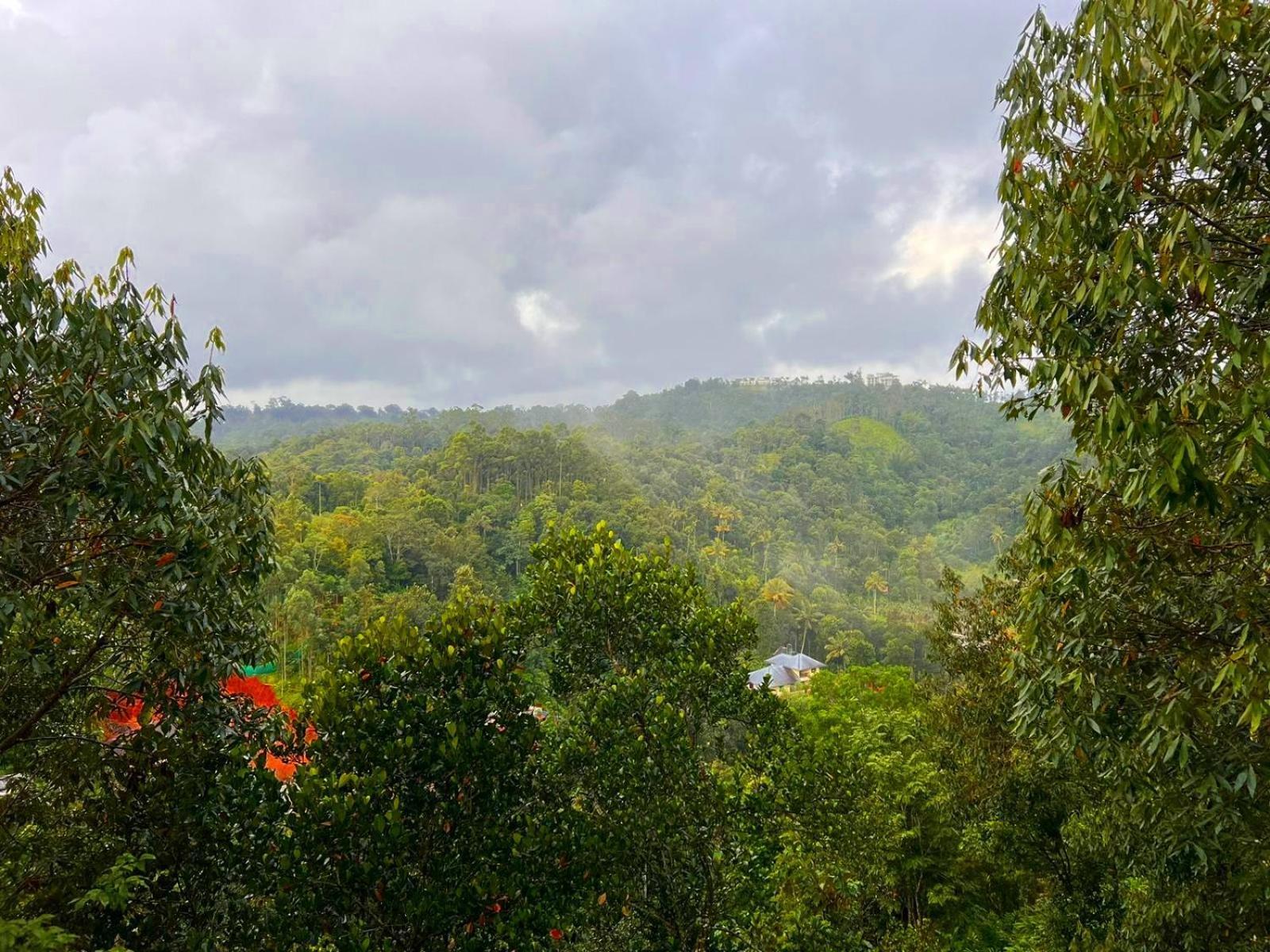 Misty Lake Resorts, Munnar Extérieur photo